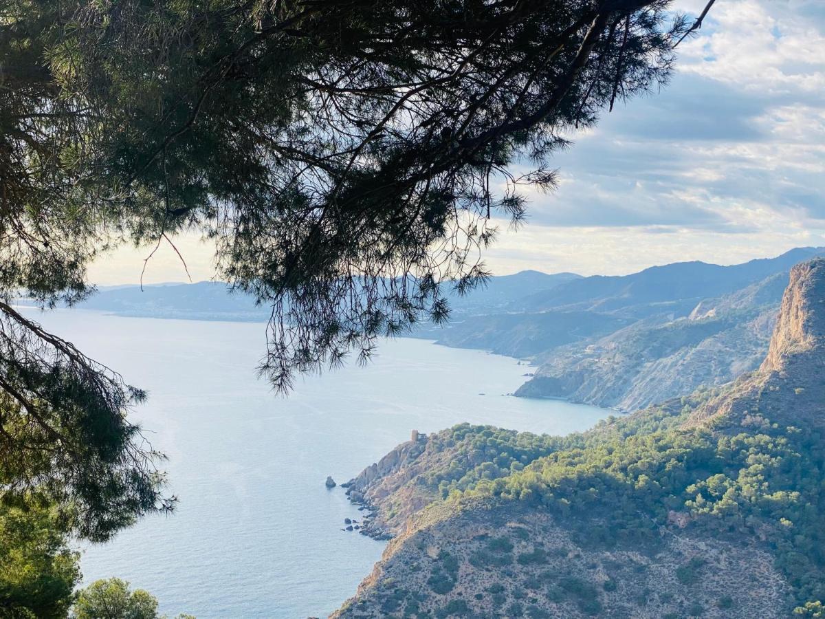 Jardines De Adnania En Marina Del Este Con Vistas Al Mar 라 에라두라 외부 사진